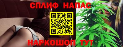mdpv Малоярославец