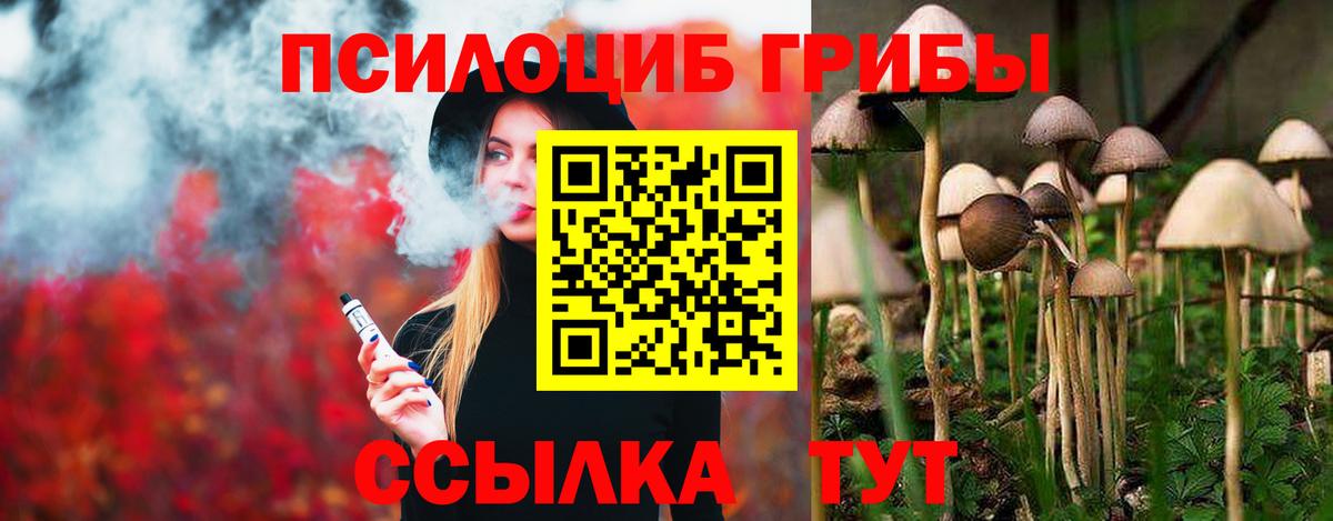 Жуковский  Галлюциногенные грибы Psilocybe  Вход с VPN 